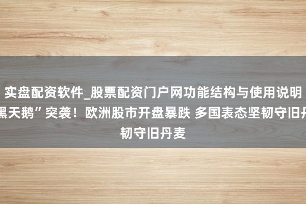 实盘配资软件_股票配资门户网功能结构与使用说明 “黑天鹅”突袭！欧洲股市开盘暴跌 多国表态坚韧守旧丹麦
