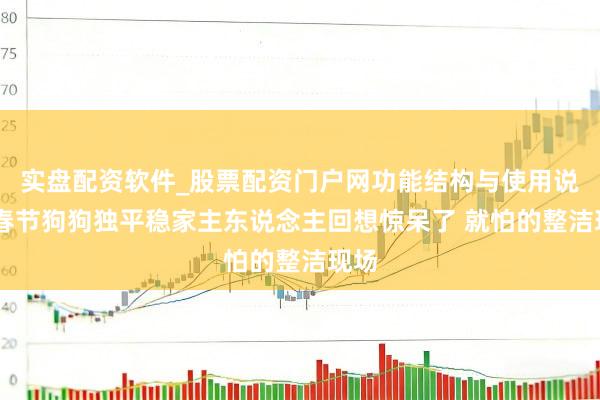 实盘配资软件_股票配资门户网功能结构与使用说明 春节狗狗独平稳家主东说念主回想惊呆了 就怕的整洁现场