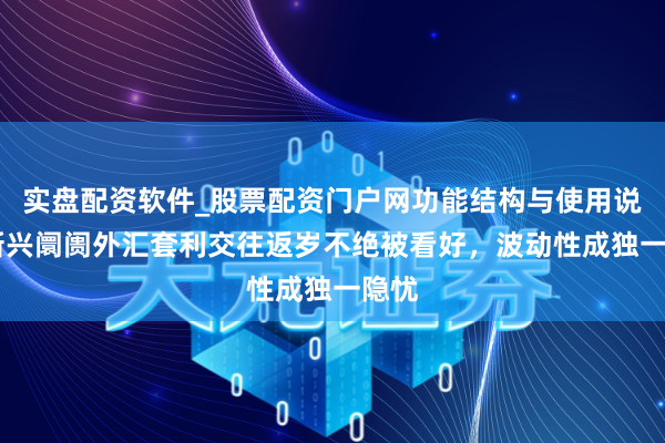 实盘配资软件_股票配资门户网功能结构与使用说明 新兴阛阓外汇套利交往返岁不绝被看好，波动性成独一隐忧